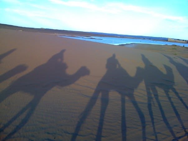 Camel caravan in Morocco